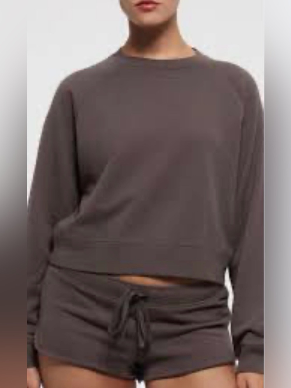 SKIMS Relaxed Crew Cropped Sweatshirt in a Warm Earthy Purple, Sz M (P2P 21”)